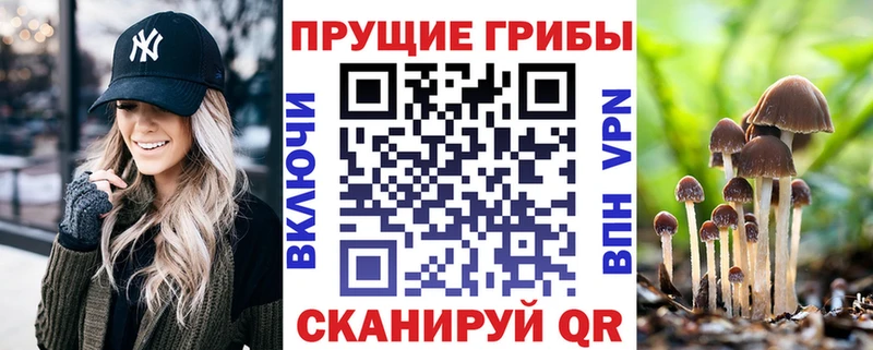 Галлюциногенные грибы Cubensis  Анапа 